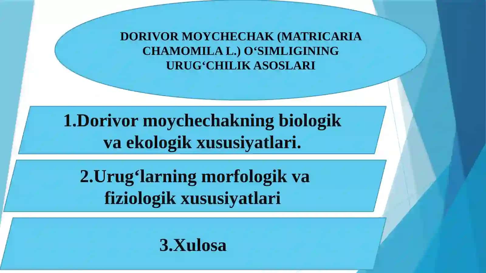 Dorivor moychechak 2