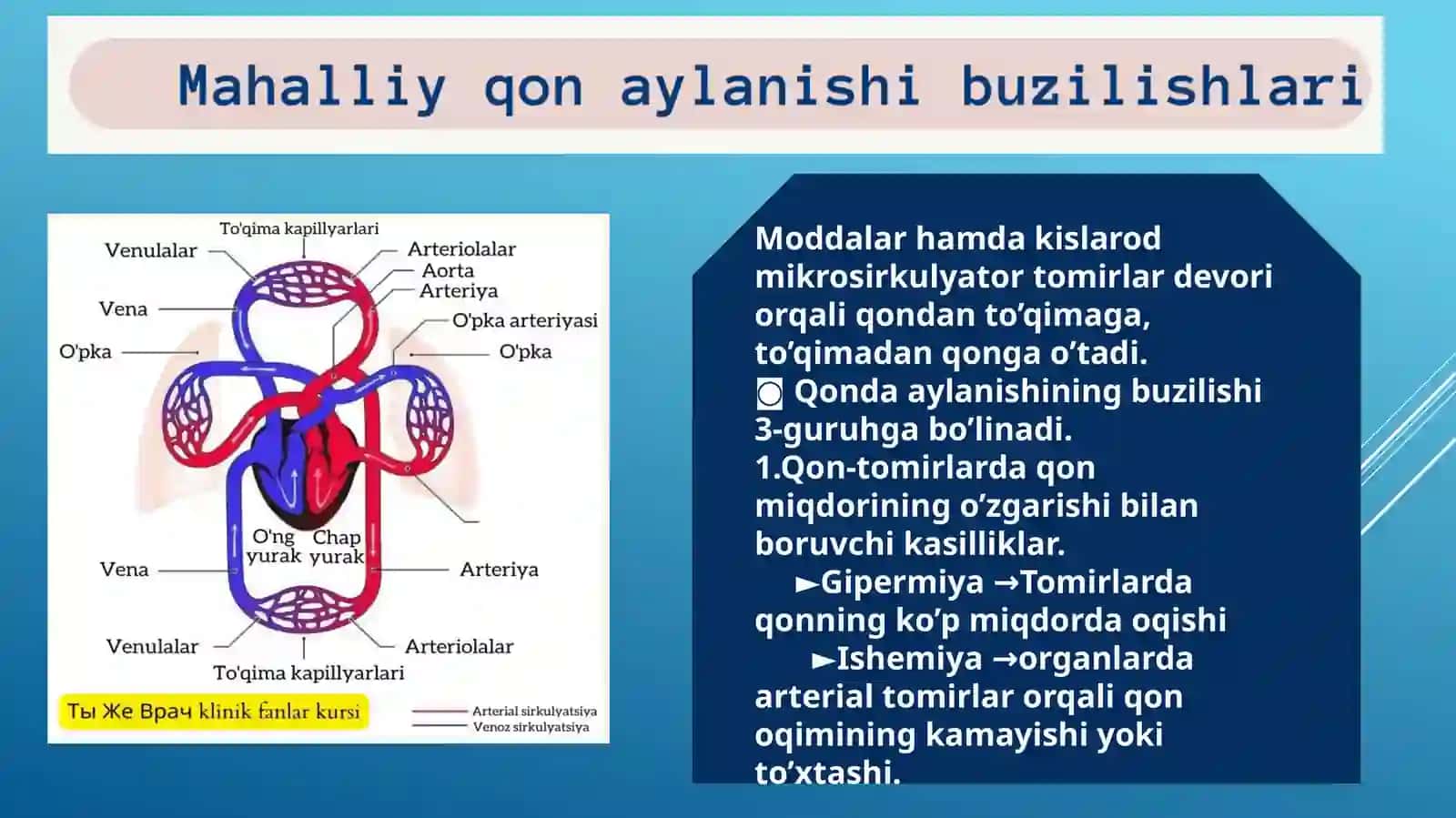 Mikrosirkulyator Tomirlar devori orqali qon danto’qimaga to’qimadan qo’ta 2