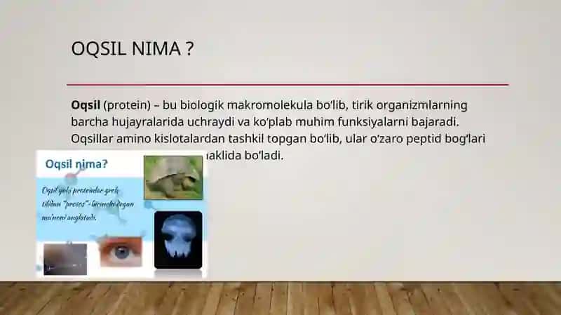 Oqsillarning ahmamiyati va vazifalari 2