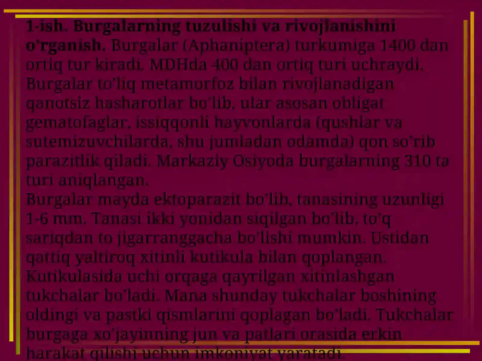 Burgalarning tuzulishi va rivojlanishi 2
