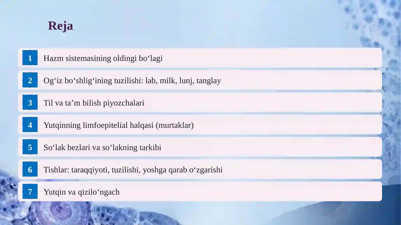 Hazm sistemasining oldingi bo‘lagi 2