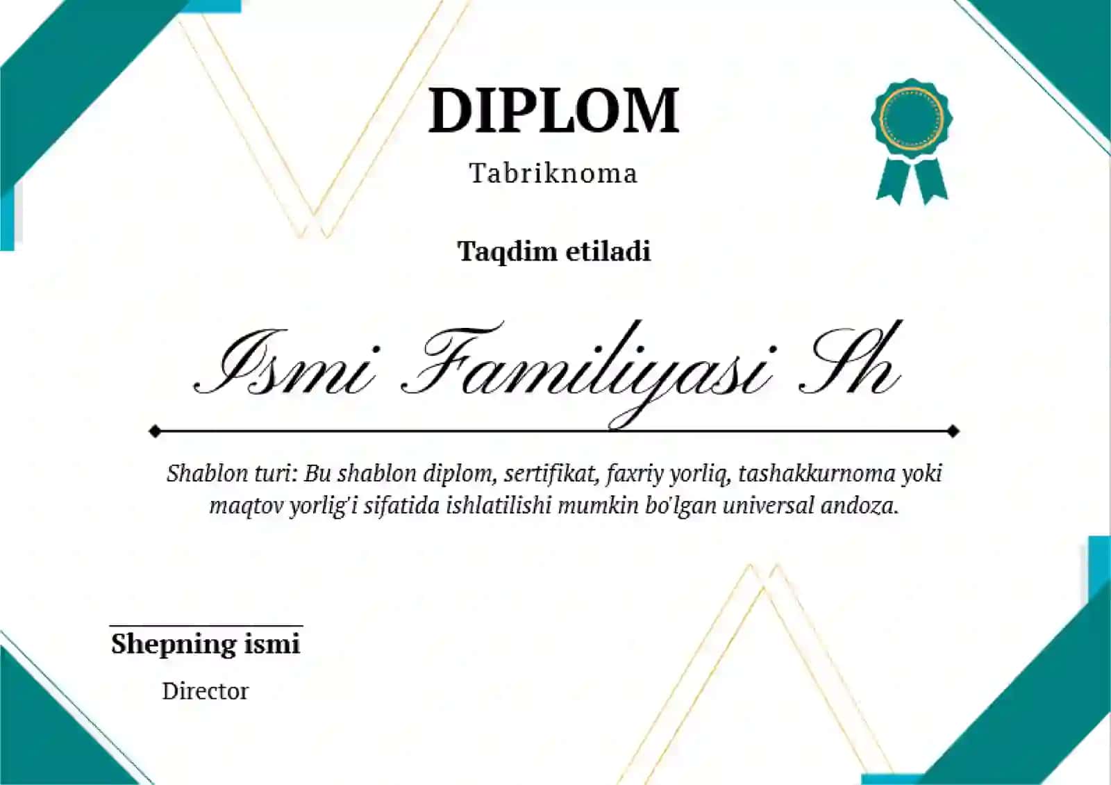 DIPLOM 2