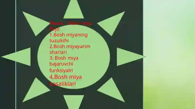 BOSH MIYA 2