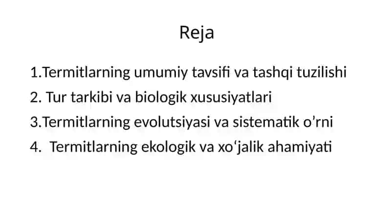 Termitlar 2