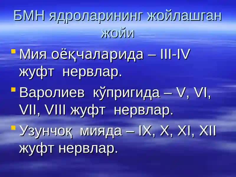 Нервлар 2