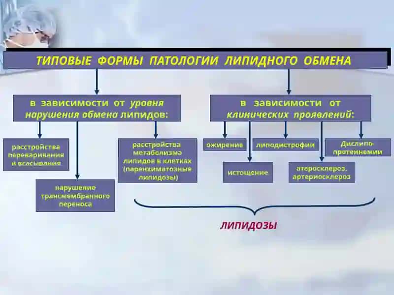 Нарушение обмена фосфолипидов наследственные нарушение жирового обмена 2
