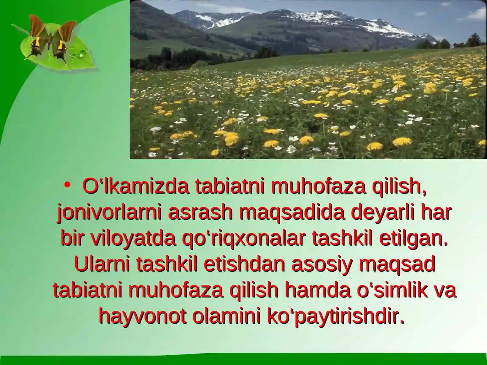 «Kitob» davlat geologik qo‘riqxonasi eko sayyohlik resurslari 2