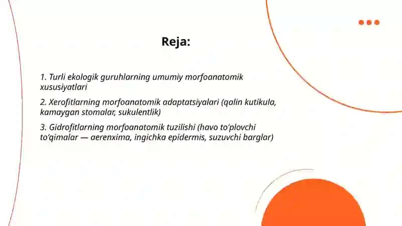 Turli ekologik guruhlarga mansub o'simliklarning morfoanatomik tuzilishi 2