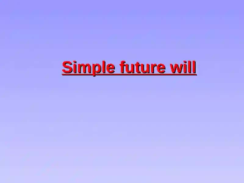 Simple future will 2