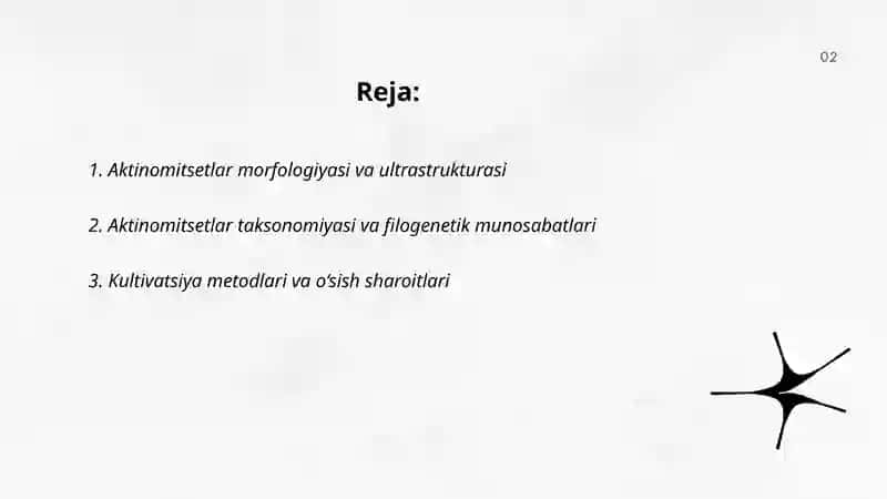 Aktinomitsetlar va ularga yaqin organizmlarni o‘rganish 2