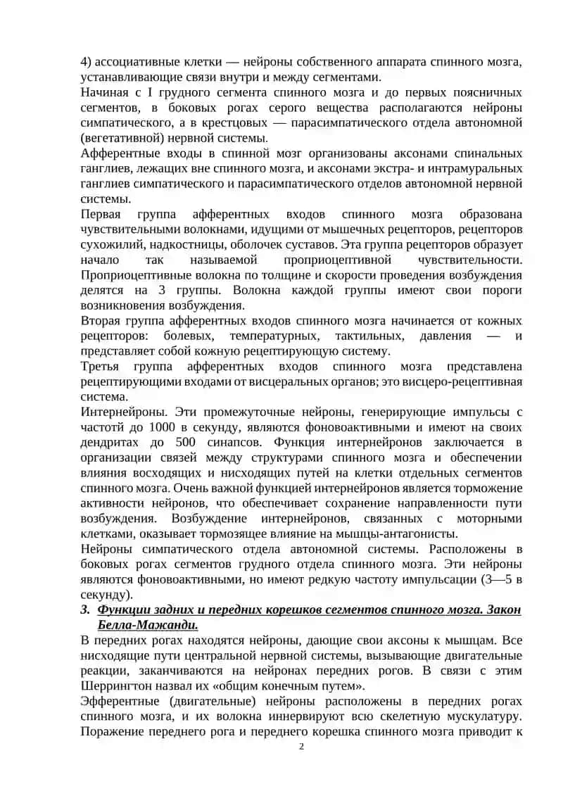 Функции спинного мозга, ствола головного мозга и мозжечка 2