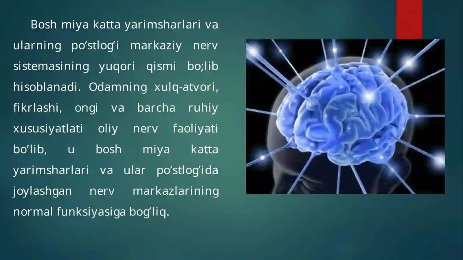 Odamning barcha ixtiyoriy harakatlari 2