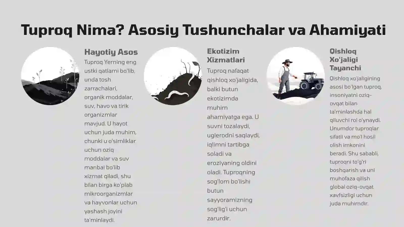 Tuproq Qoplamining Tuzilishi: Boshlang'ich Ma'lumotlar 2