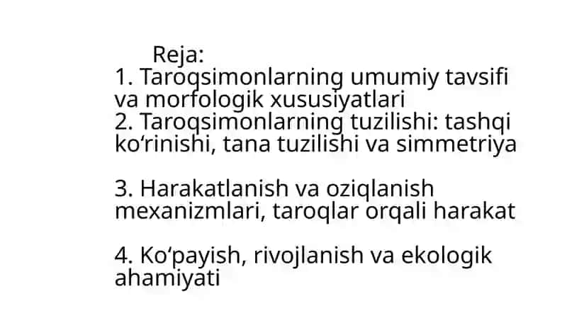 Taroqsimonlar (Ctenophora) 2