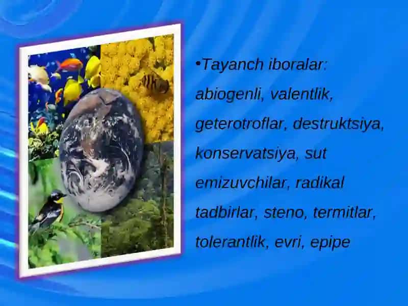 Yashash muhitlari va Ekologik omillar 2