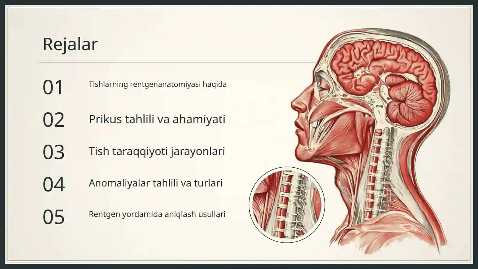 Tishlarning rentgenanatomiyasi. Prikus va tish taraqqiyotida uchraydigan anomaliyalar 2