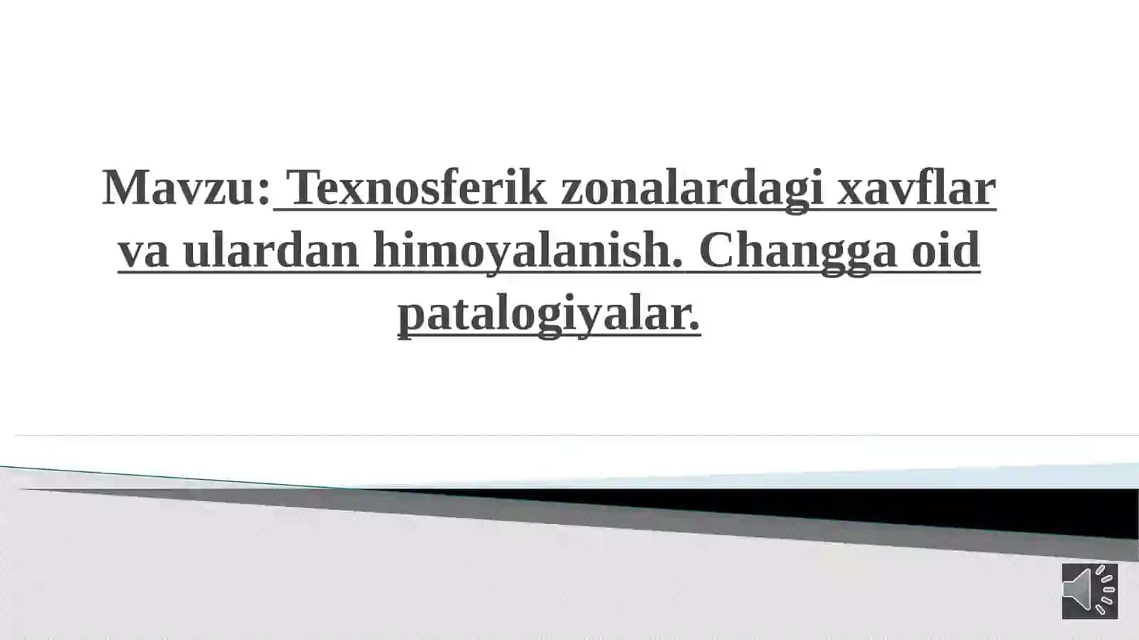 Texnosferik zonalardagi xavflar va ulardan himoyalanish. Changga oid patalogiyalar 2