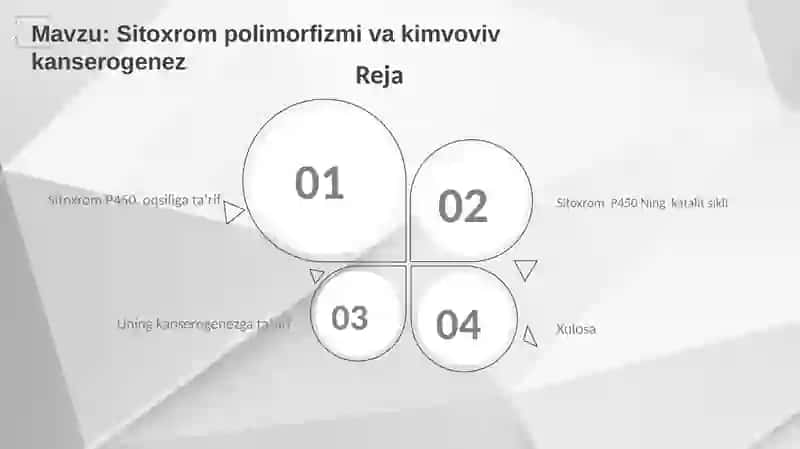 Sitoxrom P450 Ning katalit sikli 2