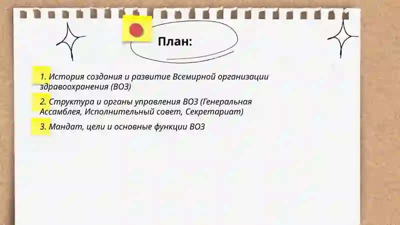 Всемирная организация здравоохранения 2