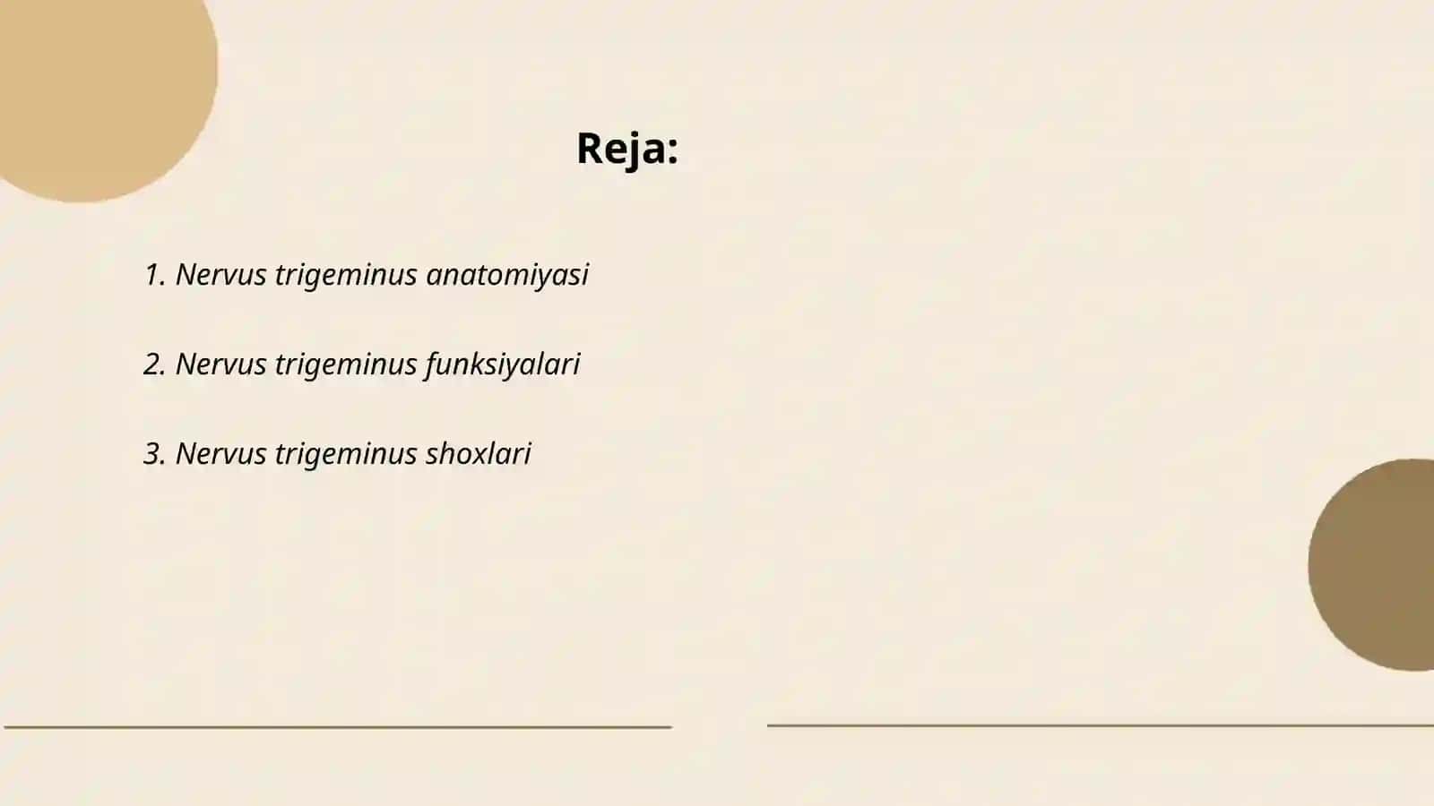 Nervus trigeminus 2