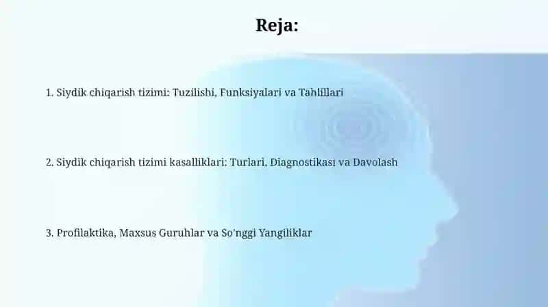 Siydik ajratish tizimi va kasalliklari 2