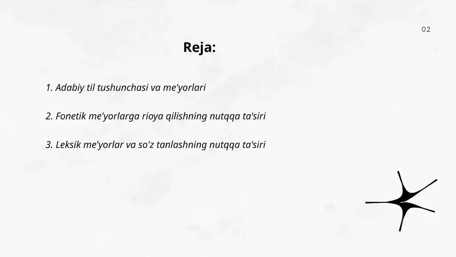 Adabiy til tushunchasi va me'yorlari 2