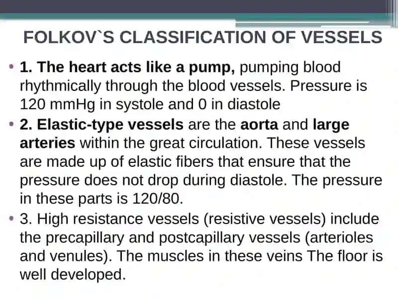 Blood pressure. Microcirculatory system. 2
