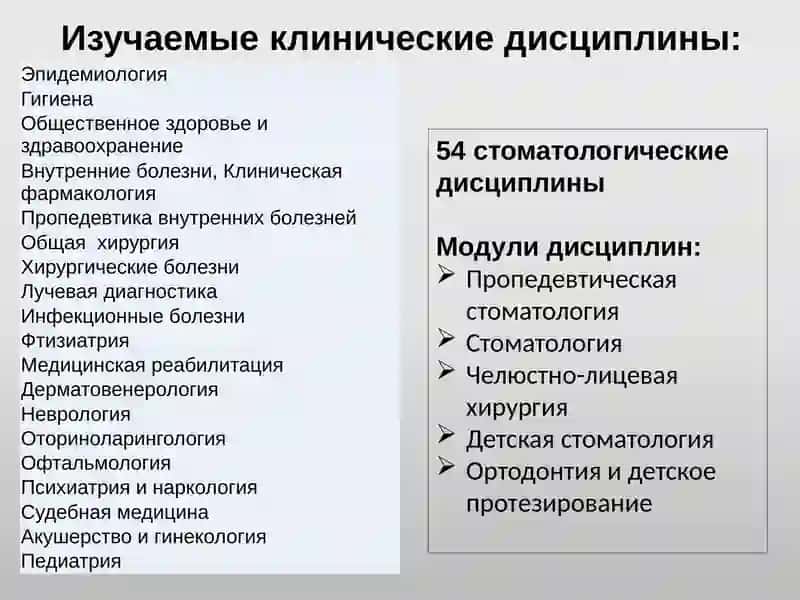СТОМАТОЛОГИЯ 2