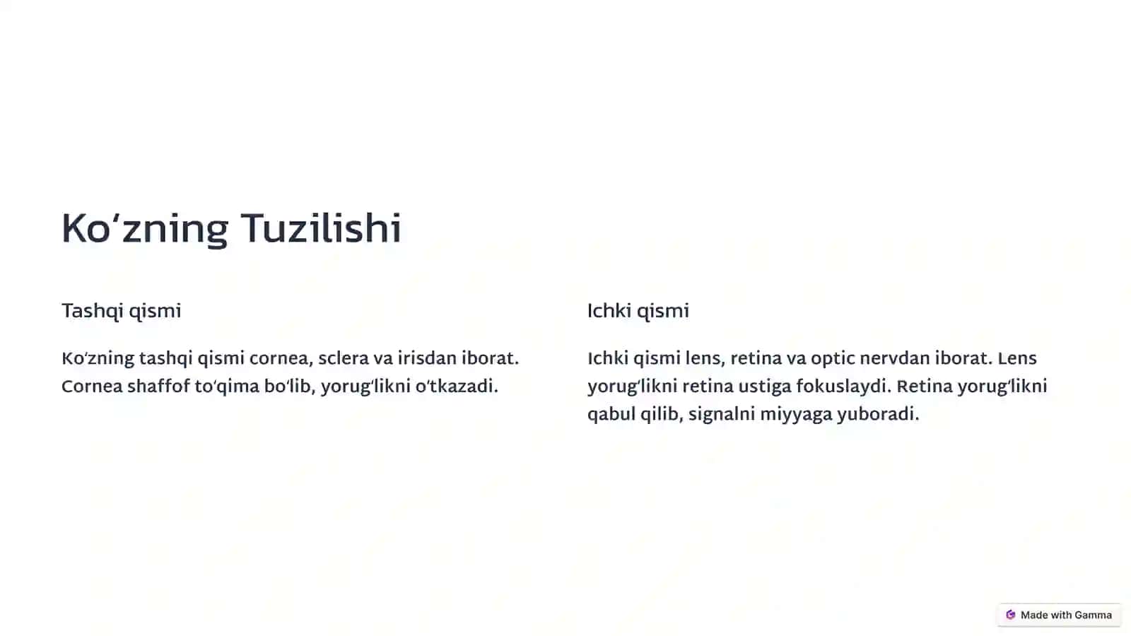 Koʻzning Optik Tizimi va Yorugʻlikka Tasiri 2
