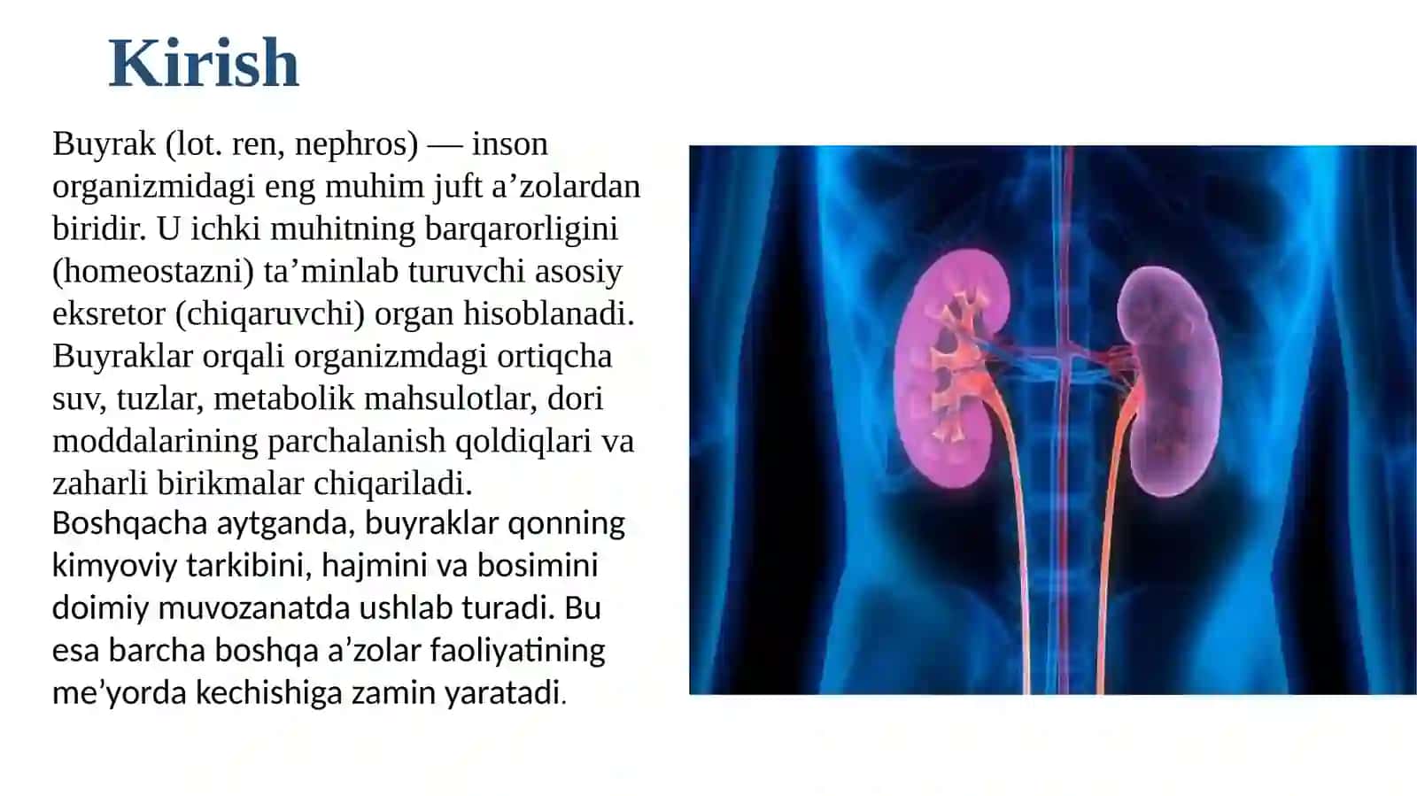 Buyraklar faoliyatining boshqarilishi. ichki muxitning tarkibi va xajmi, boshqarishida buyraklarning ahamiyati. Siydik konsentratsiyasi va xujayralararo suyuqlikni boshqarilishi. Fiziologiya 2