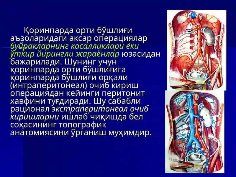 БЕЛ СОҲАСИ ВА ҚОРИНПАРДА ОРТИ БЎШЛИҒИНИНГ ЖАРРОҲЛИК АНАТОМИЯСИ. БУЙРАК ВА СИЙДИК ЙЎЛЛАРИДА ОПЕРАЦИЯЛАР 2