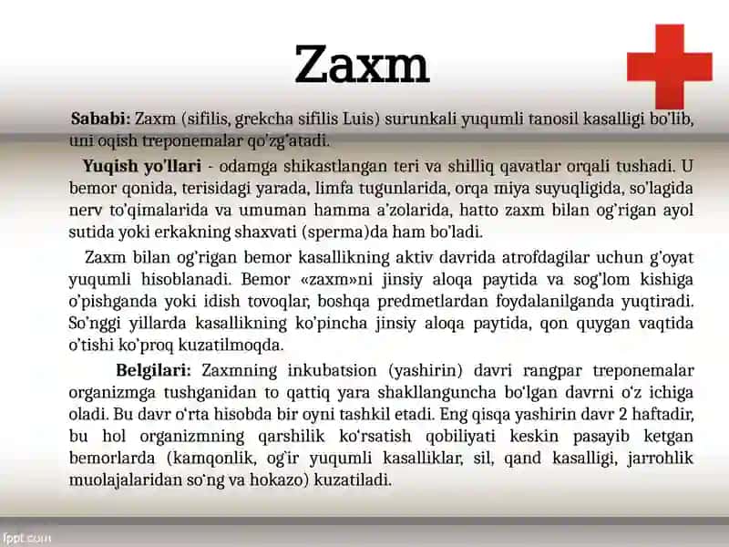 Zaxm 2