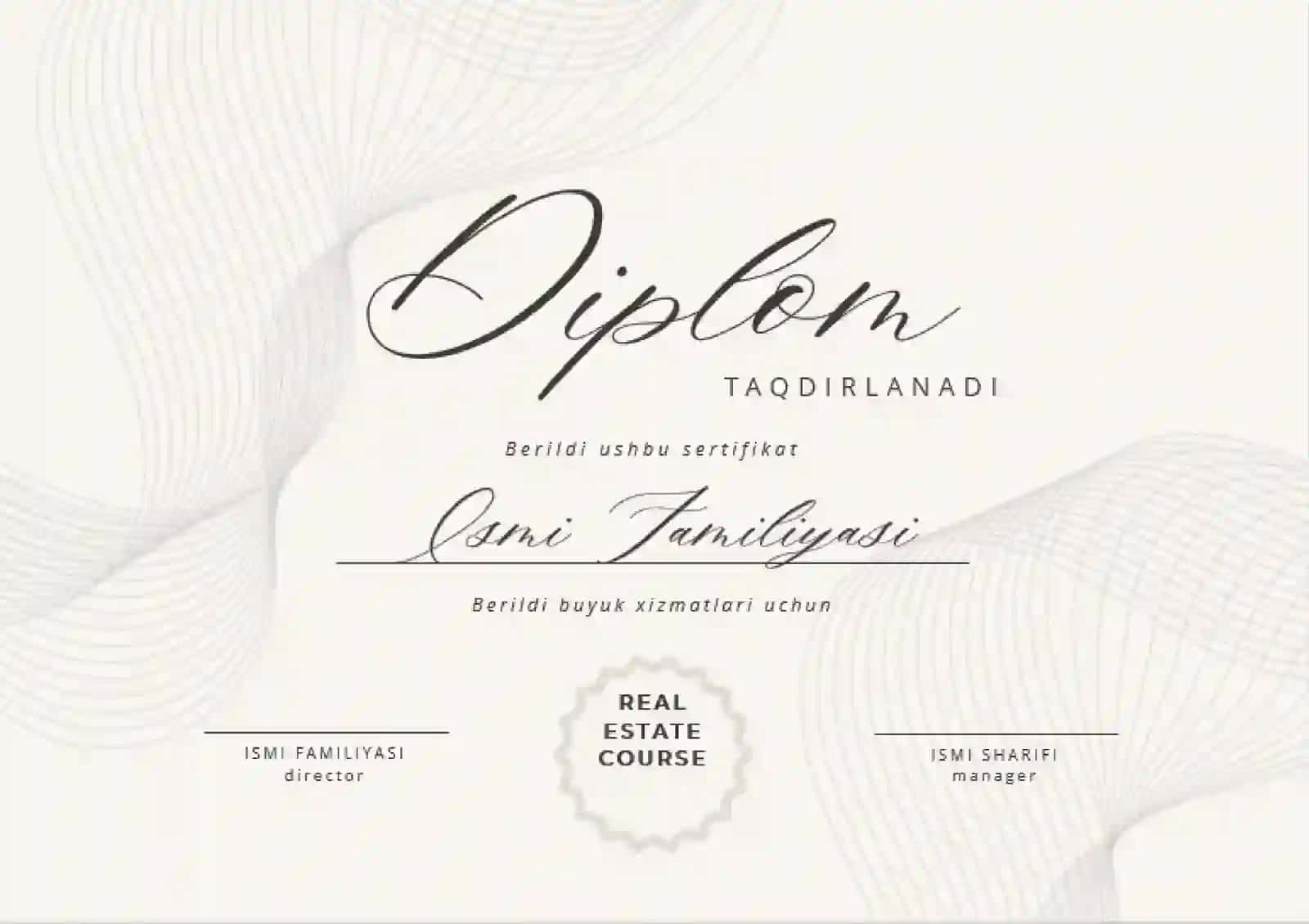 DIPLOM 2