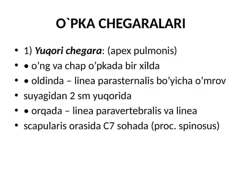 O`pka Chegaralari 2