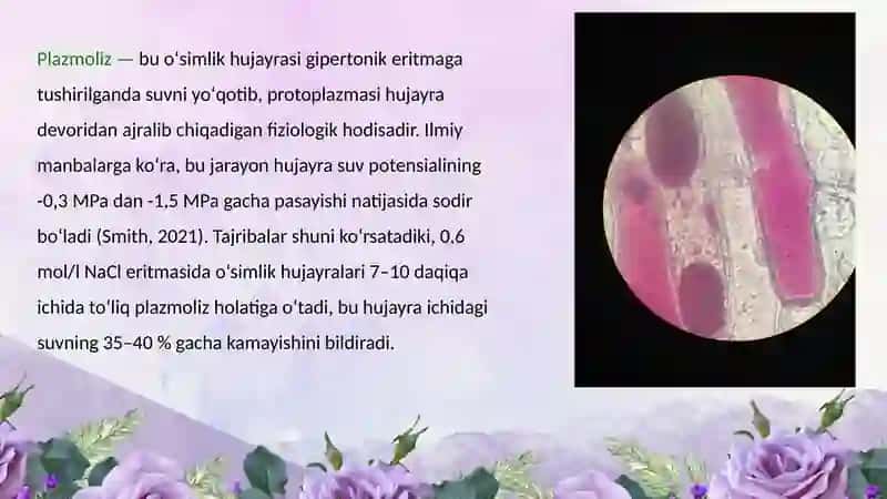 Plazmoliz va deplazmoliz hodisalarini turli oʻsimlik hujayralarida oʻrganish 2