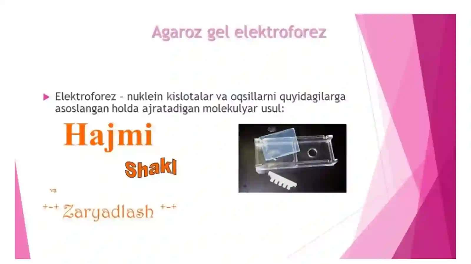 Rekombinat DNK olish texnologiyasi 2