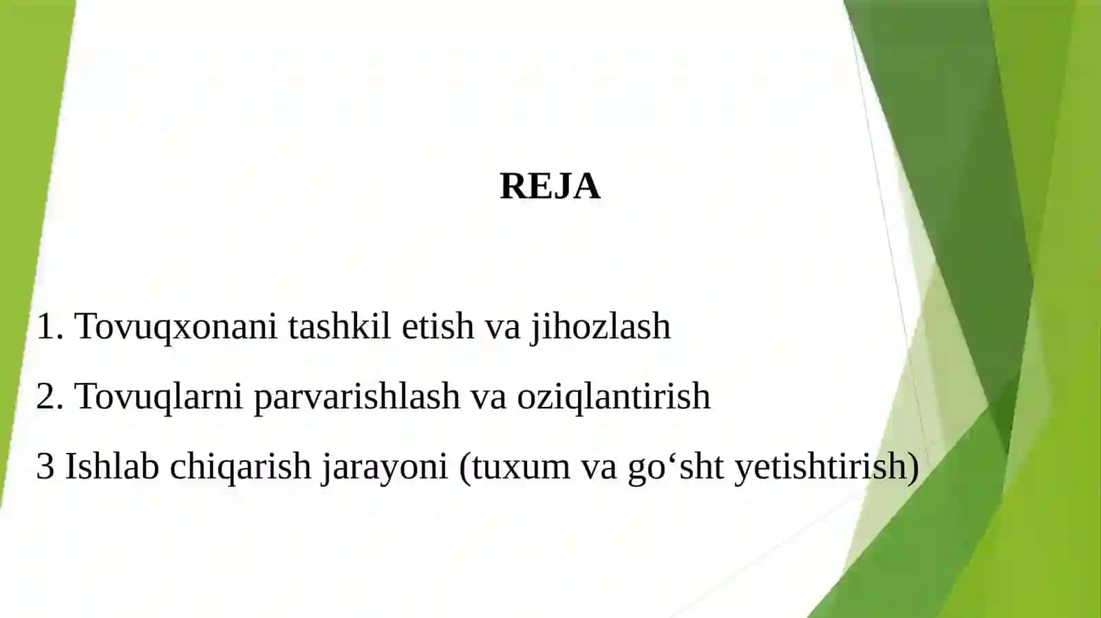 PARRANDACHIK (TOVUQ) FAOLIYATINI OLB BORISH BO’YICHA BIZNES REJASI 2