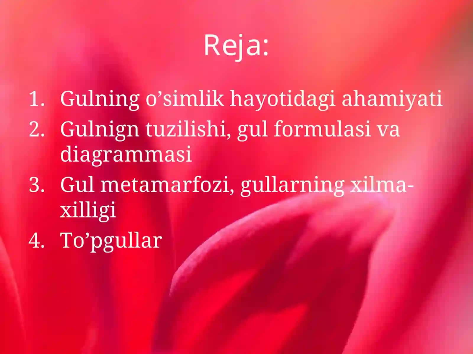 Gul 2