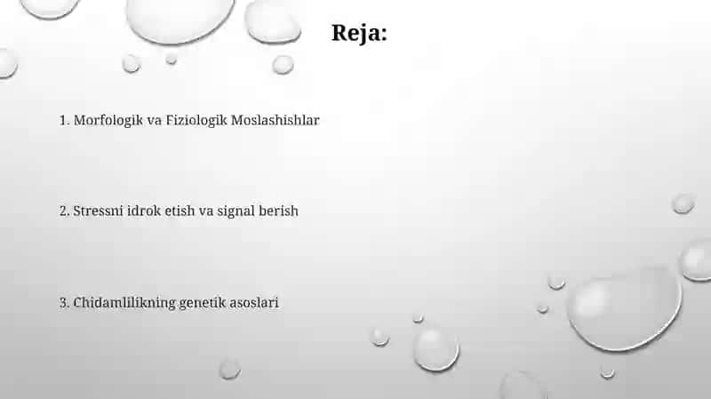 O'simliklarning noqulay omillarga chidamliligi 2