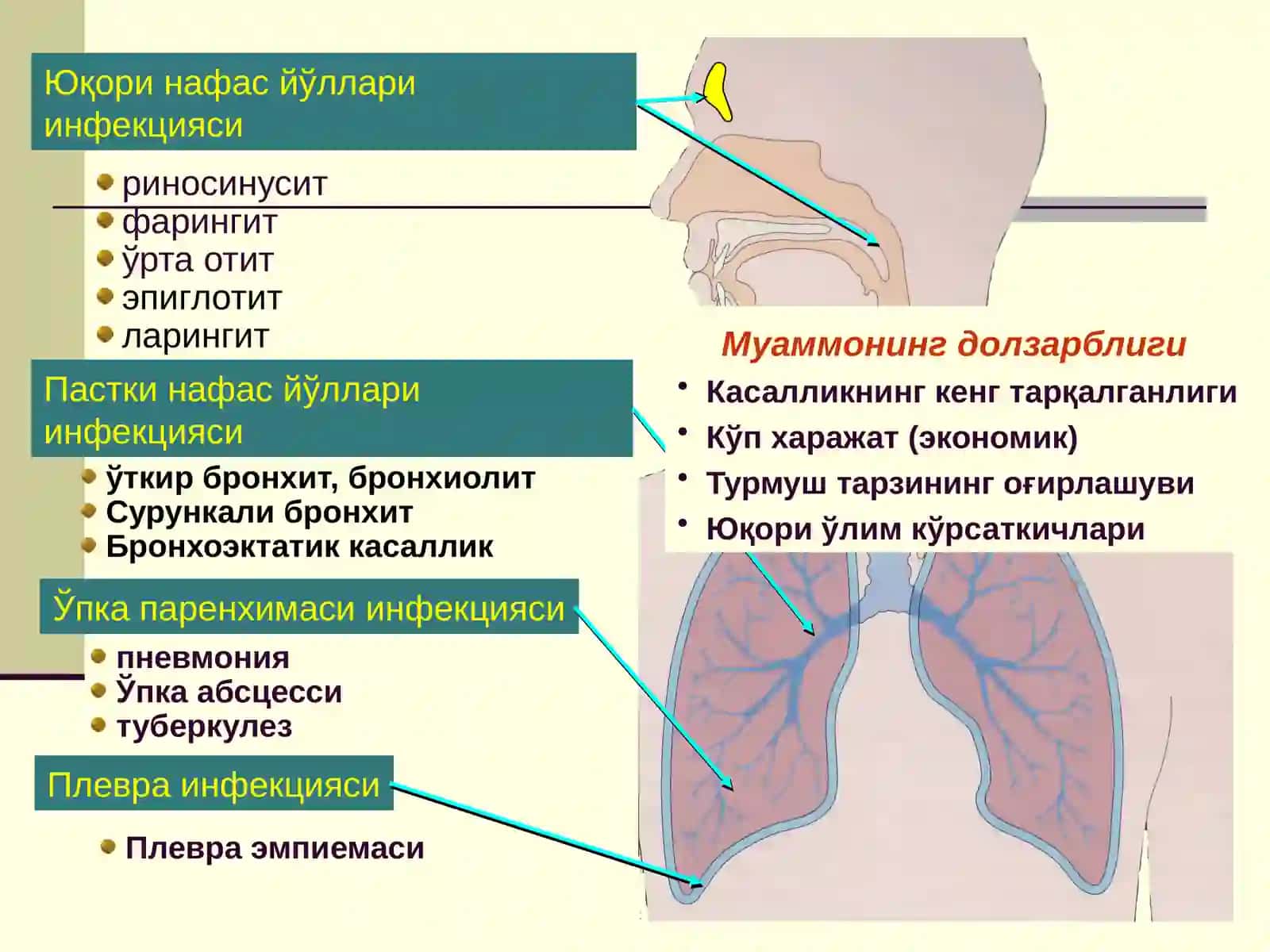 БОЛАЛАРДА ВИРУСЛИ ЎТКИР ПНЕВМОНИЯ 2