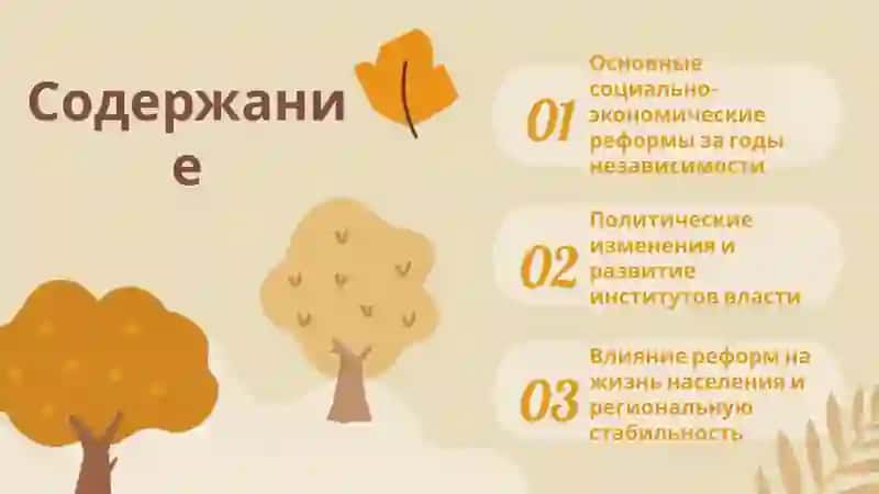 Основные социально-экономические реформы 2