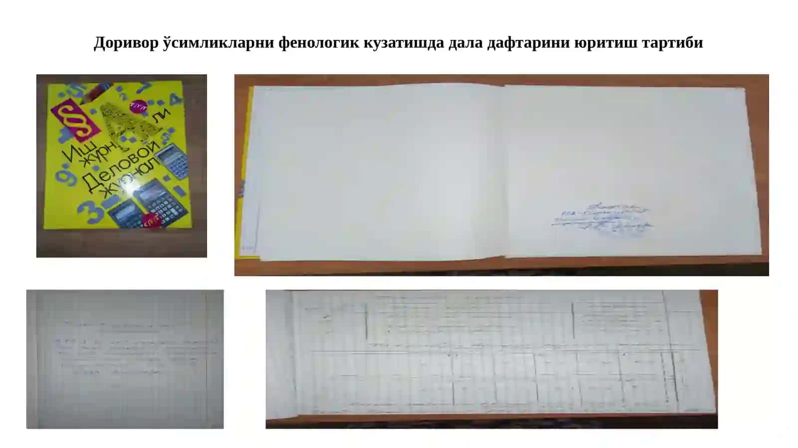 Доривор ўсимлик фенологияси 2