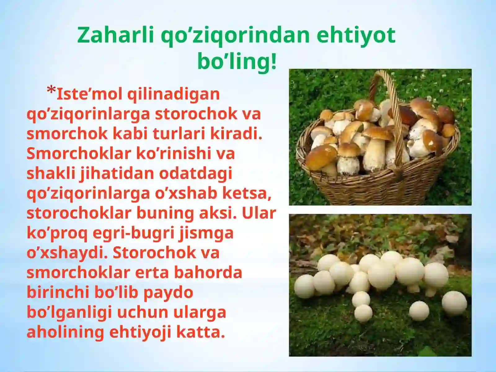 Qo‘ziqorinlardan zaharlanish 2
