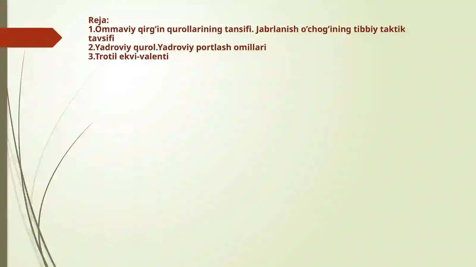 Ommaviy qirg'in qurollarining tasnifi. Jabrlanish o'chog'ining tibbiy taktik tavsifi. Yo'qotishlar. Yadroviy qurollar. Trotilekvi-valenti. Yadroviy portlash omillari 2