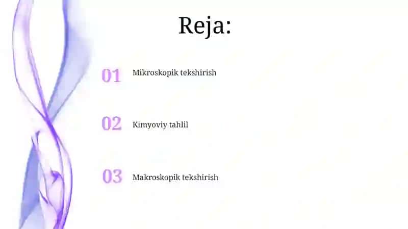 Safina 2