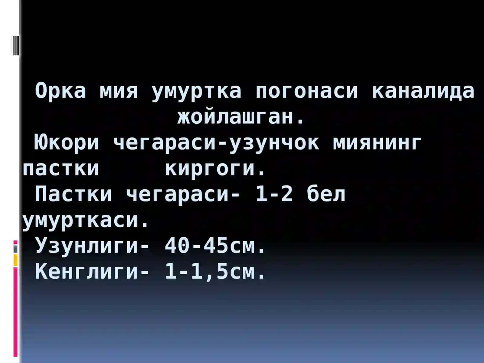 Периферик нерв системаси 2