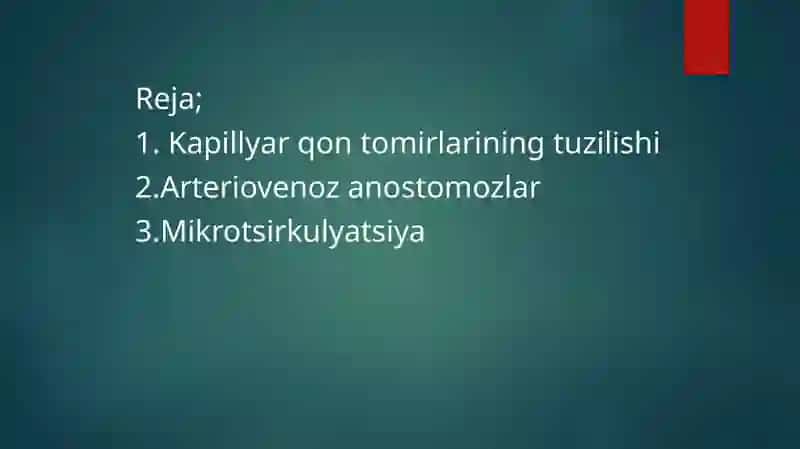 Kapilyarlarda qon aylanish 2