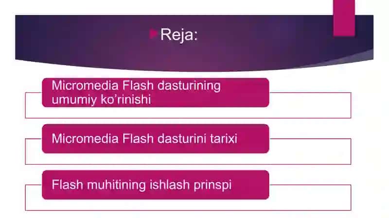MikromediaFlash dasturi 2