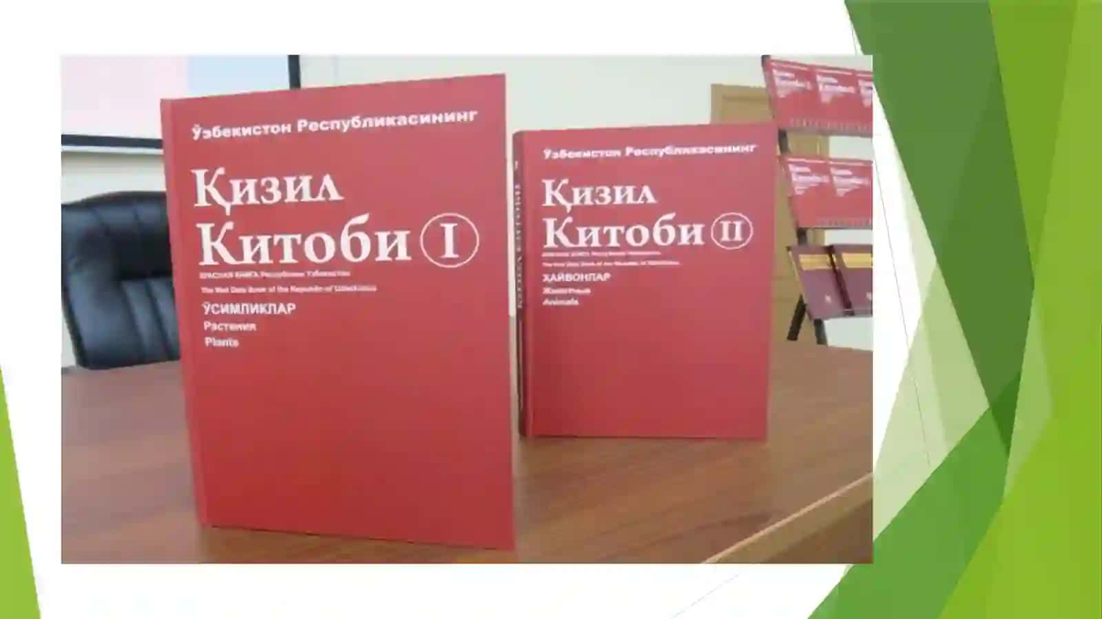 Oʻzbekiston Qizil kitobiga kiritilgan   oʻsimliklar 2