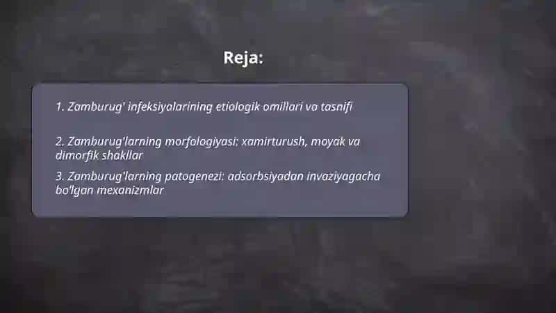 Zamburug' va parazitar infeksiyalar- etio-patogenezi, morfologiyasi 2